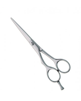Professional hair Cutting Scissors